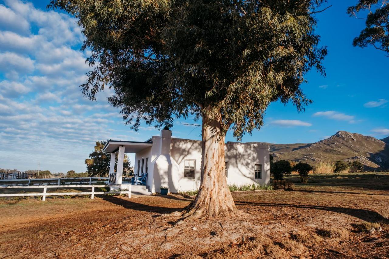 White Water Farm Guest House Stanford Luaran gambar
