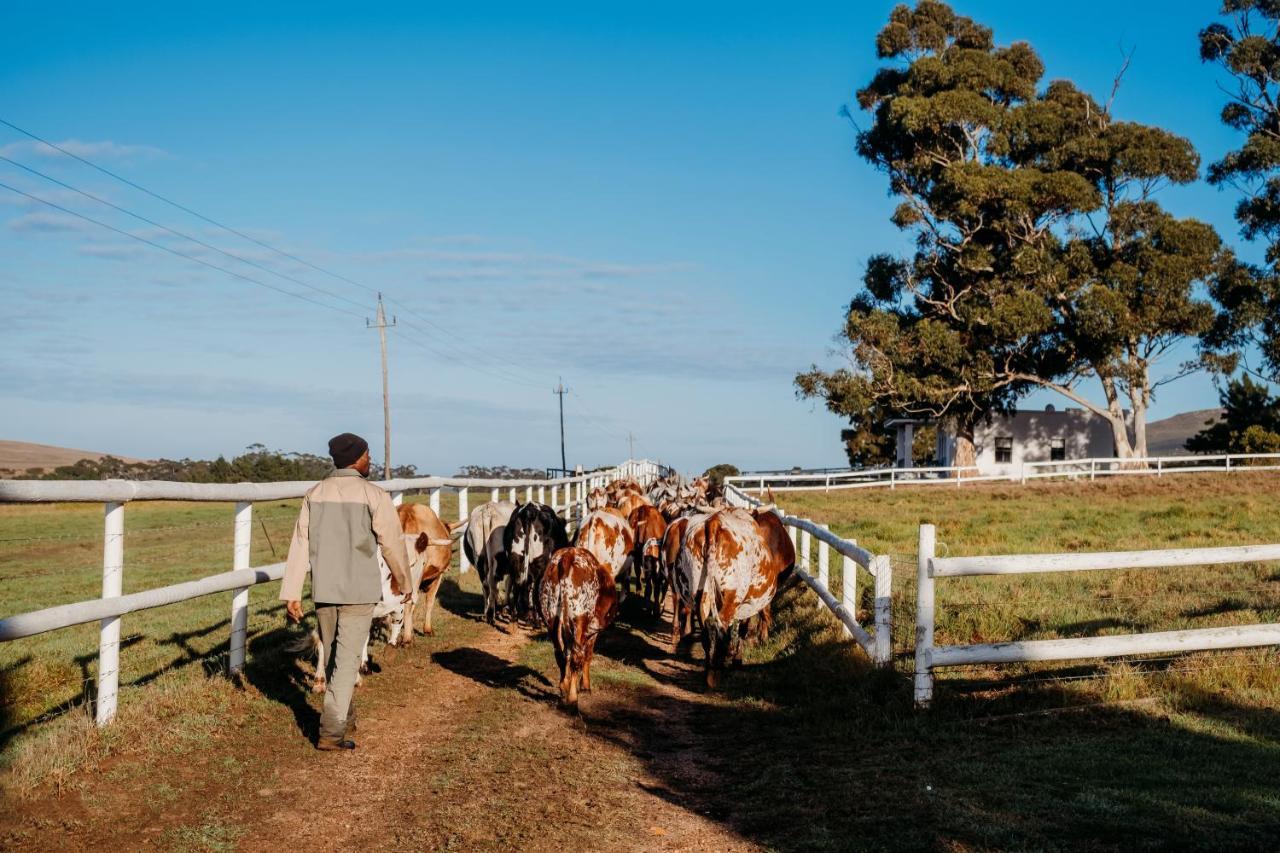 White Water Farm Guest House Stanford Luaran gambar