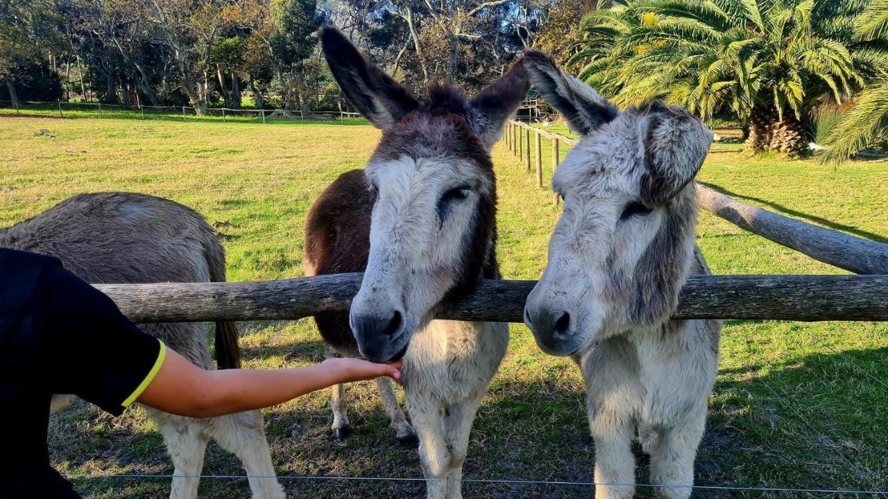 White Water Farm Guest House Stanford Luaran gambar