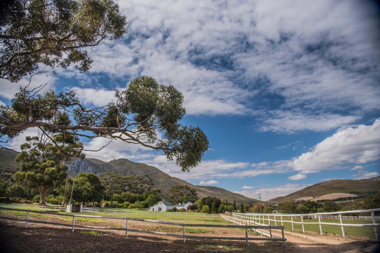 White Water Farm Guest House Stanford Luaran gambar